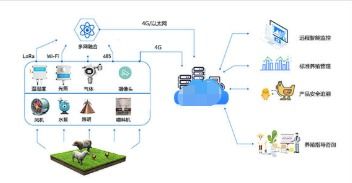 智慧畜牧定位溯源系統(tǒng) 設(shè)計與開發(fā)實踐