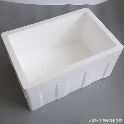 農村陽臺上用泡沫箱種辣椒的實操指南